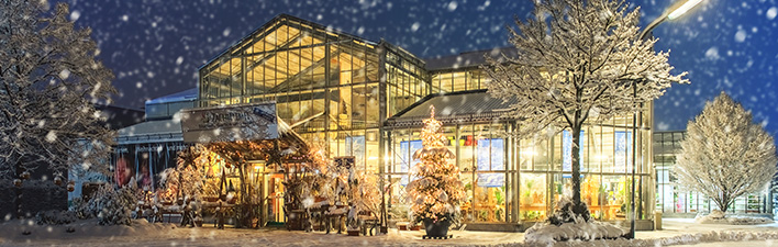 GARTENCENTER ZACHHALMEL St. Johann im Pongau