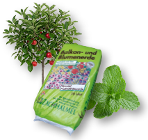 Weekend Aktion: Rose Kiss2you, Kräuter, Erde, Obstbäume zum Aktionspreis!