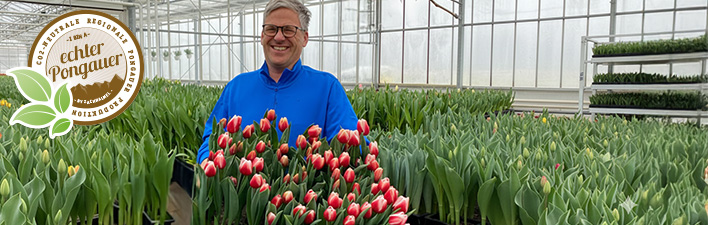 Onkel Manfred's Tulpen!