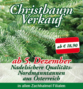Zachhalmel Christbaum-Verkauf