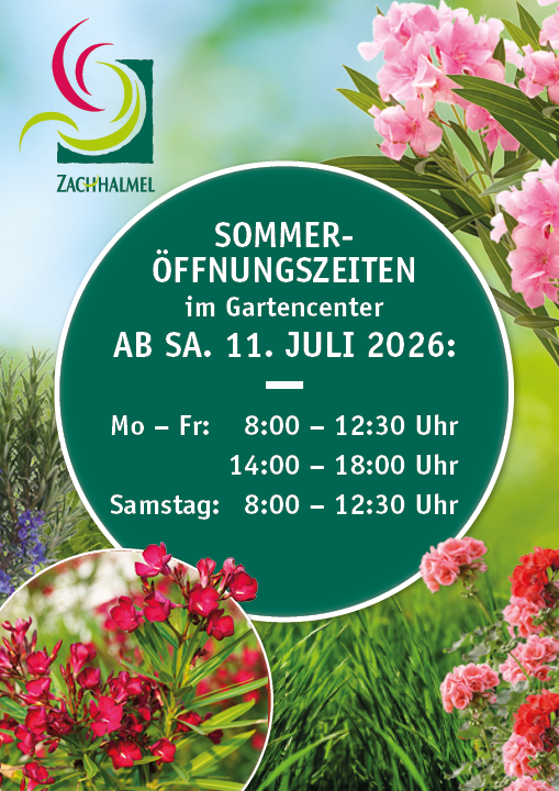 SOMMER ÖFFNUNGSZEITEN!